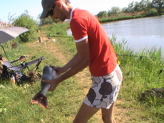 la rapitor - pic0759.JPG